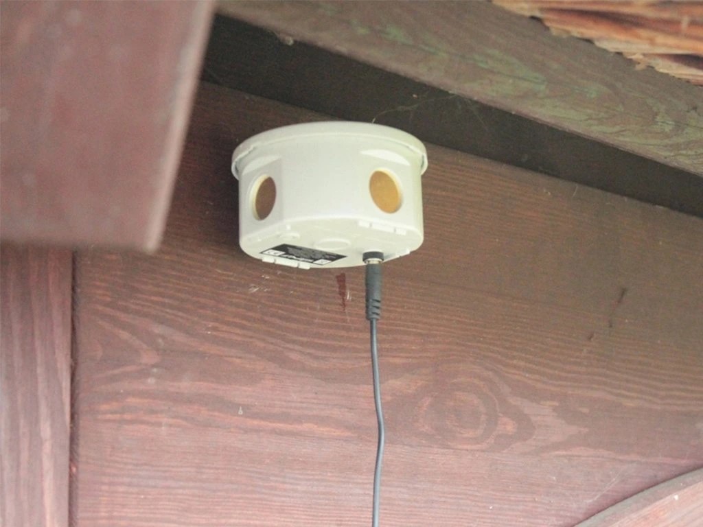 a333333
